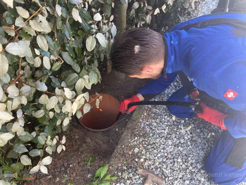 Rioolvliegjes Vianen